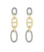 Mixed Metal Link Earrings